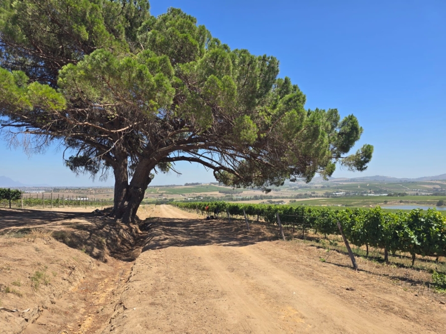 5 Bedroom Property for Sale in Stellenbosch Farms Western Cape